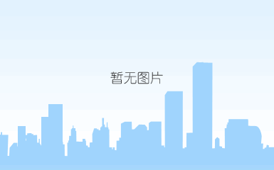 图 1 gpmc概述 图 1 gpmc概述